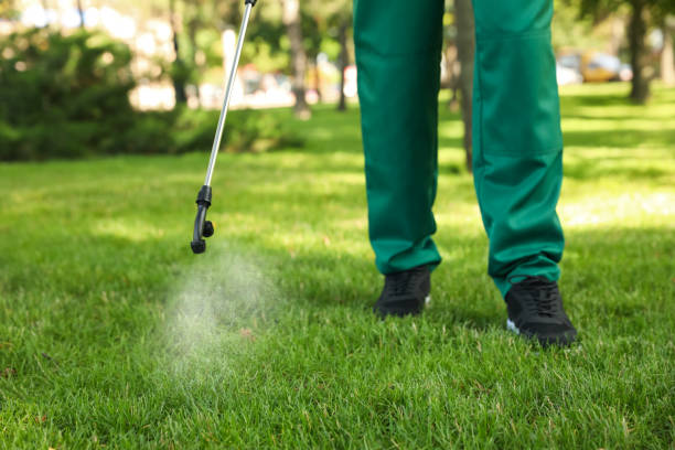 Best Pest Removal Services  in Aspen, CO