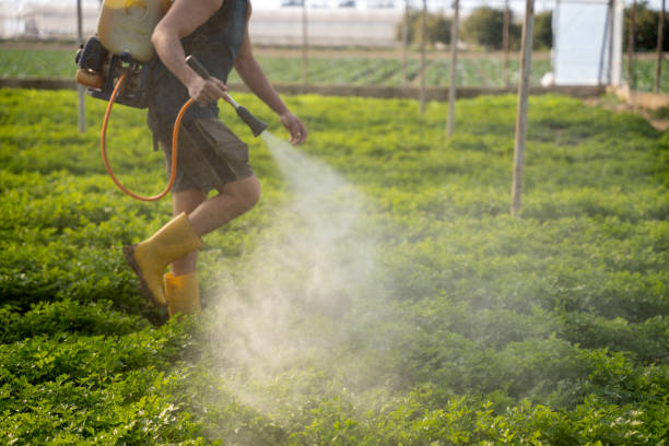 Best Pest Prevention Services  in Aspen, CO