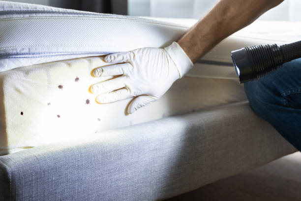 Best Pest Inspection Near Me  in Aspen, CO